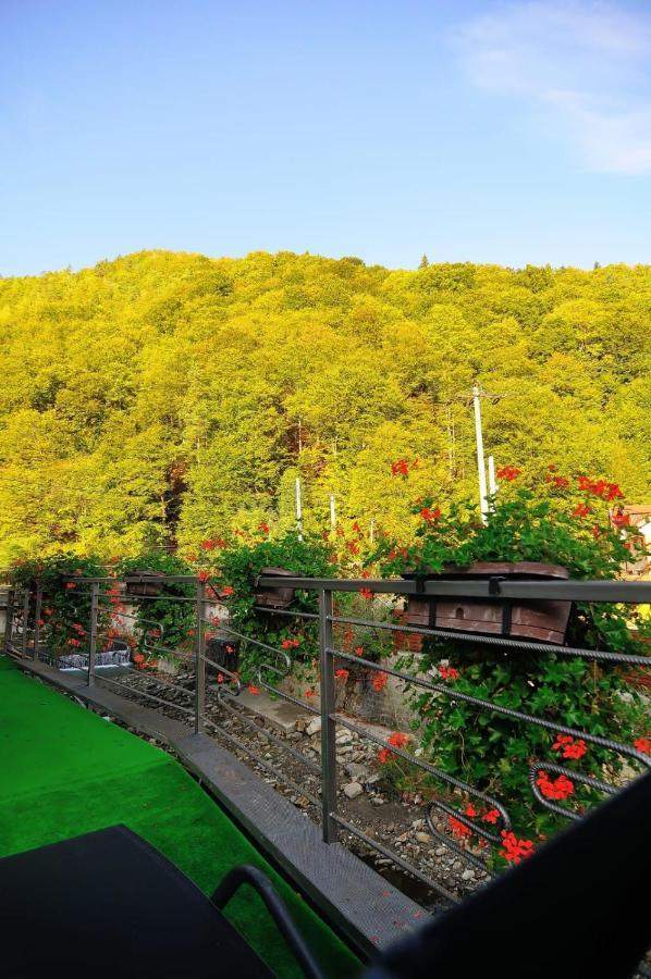 New Green Slanic Moldova Exterior photo